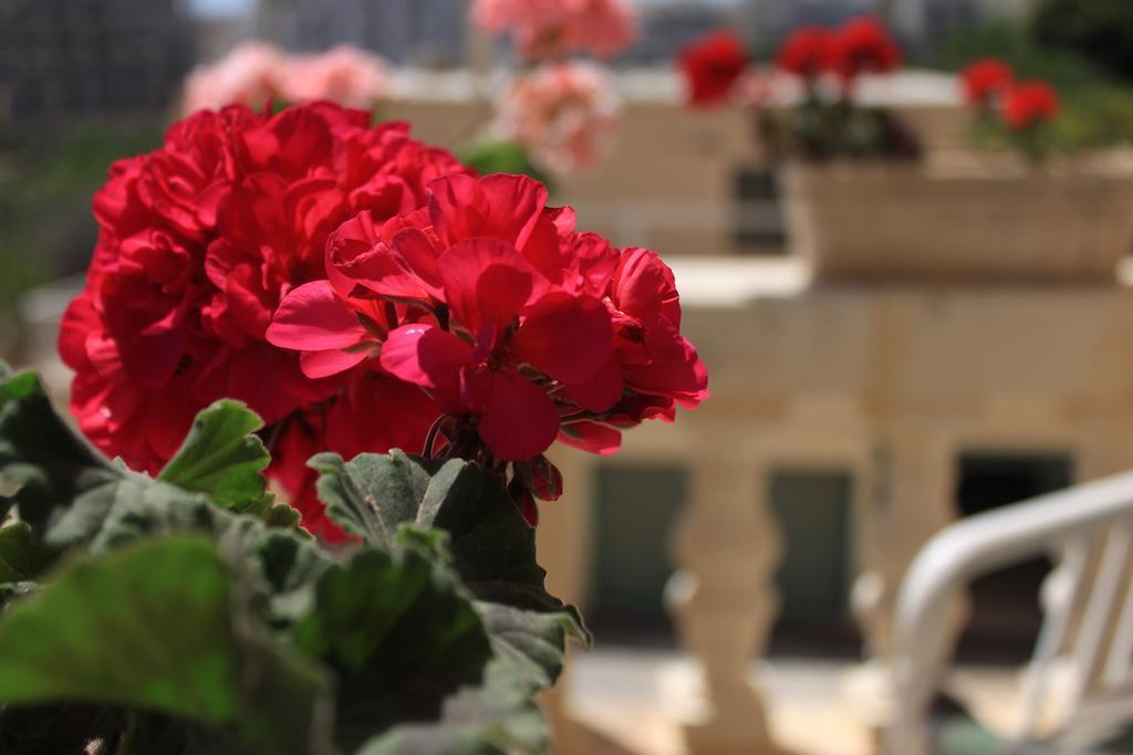 Giljana Ensuite Rooms Shared Terrace & Kitchen Saint Julian's 客房 照片
